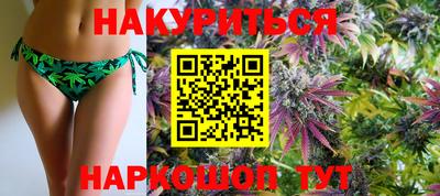 прущие крисы Камышлов