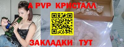 прущие крисы Камышлов
