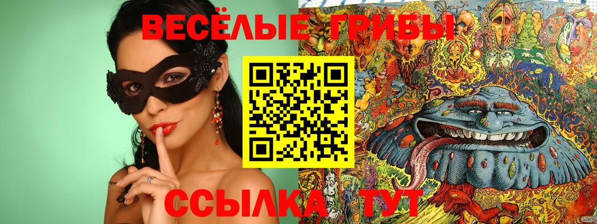 наркота  Галлюциногенные грибы Magic Shrooms  Вход с VPN  Кудымкар 